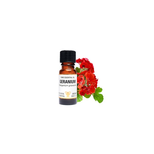 Geranium Geranium