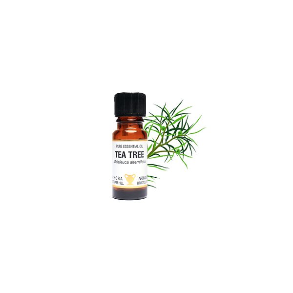 Tea tree Tea tree