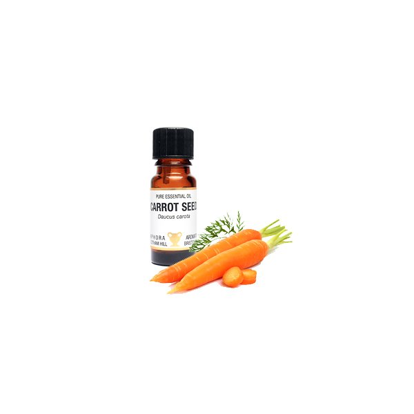Carrot Seed Carrot Seed